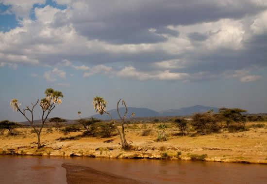 Best Camping Kenya Safari