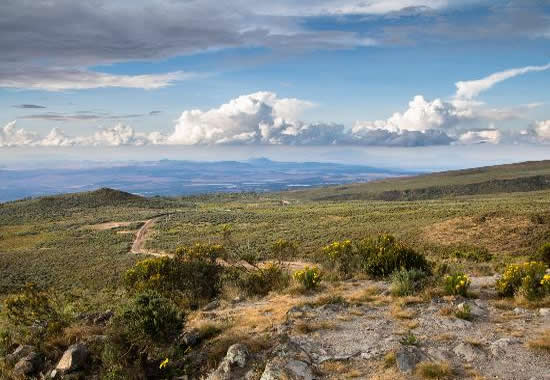 Mount Kenya Climbing Sirimon Route