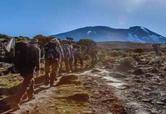 Mount Kilimanjaro Hiking Umbwe Route