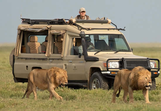 Tanzania Budget Safari