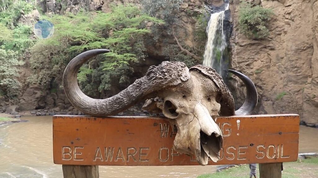 Best Budget Kenya Safari