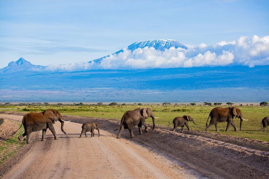 Best Kenya Camping Safari​