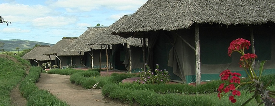 Kenya Budget Camping Safari