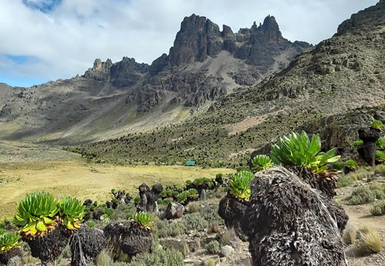 Mount Kenya Hiking Sirimon Route