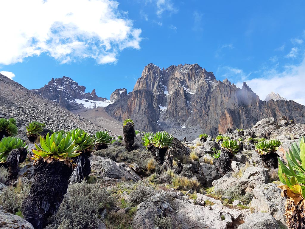 Mount Kenya Hiking Sirimon Route