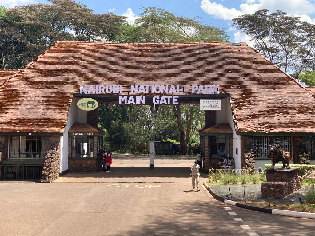 Nairobi National Park Tour