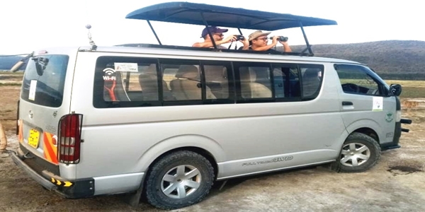 Safari Van Rental