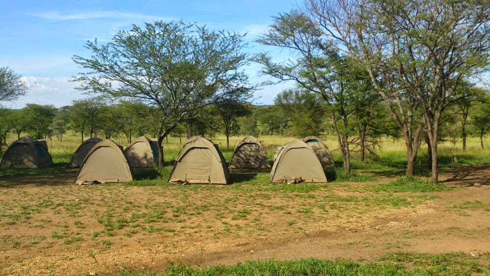 Tanzania Budget Camping Safari